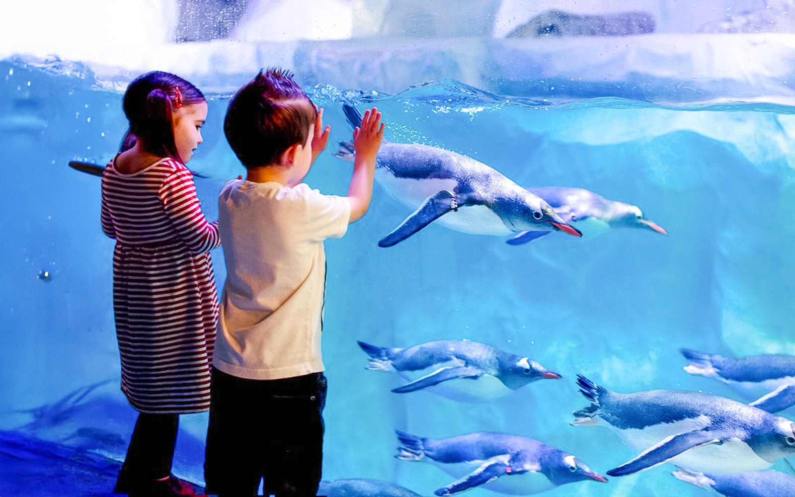 Golden Pass London: Choose from 10+ Attractions — gallery 4