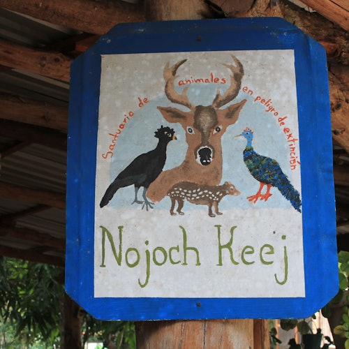 Cobá Ruins, Punta Laguna & Cenote: Guided Tour, Transfer from Tulum + Lunch — gallery 2