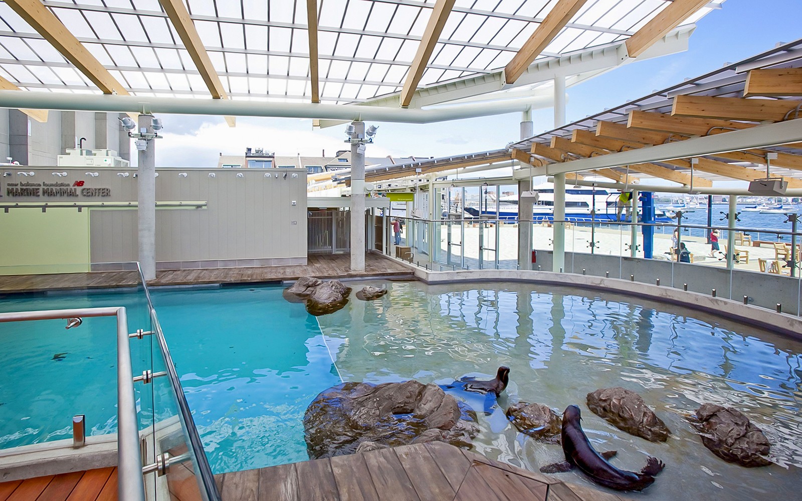 New England Aquarium Tickets — gallery 3