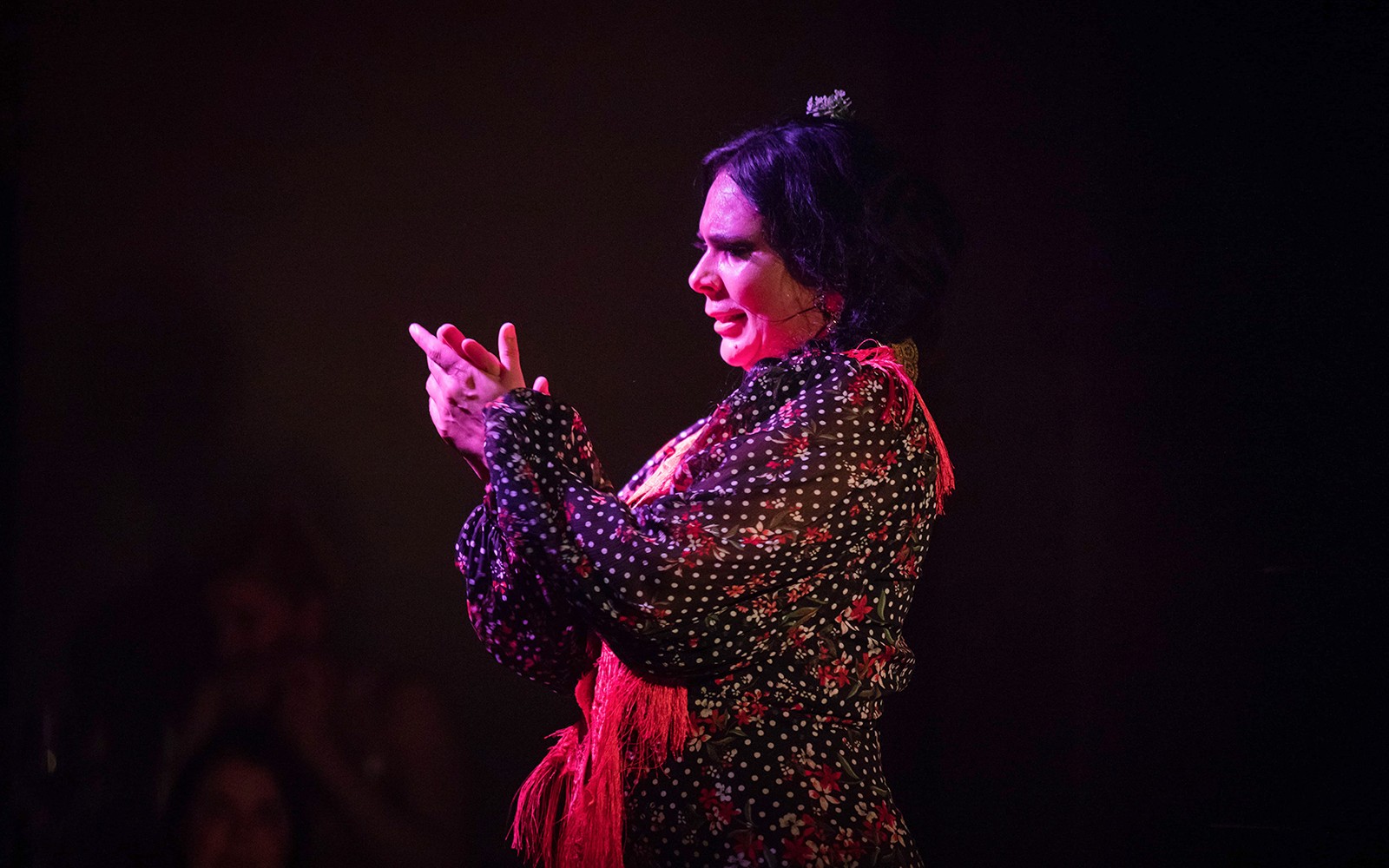Alegría - Flamenco Show