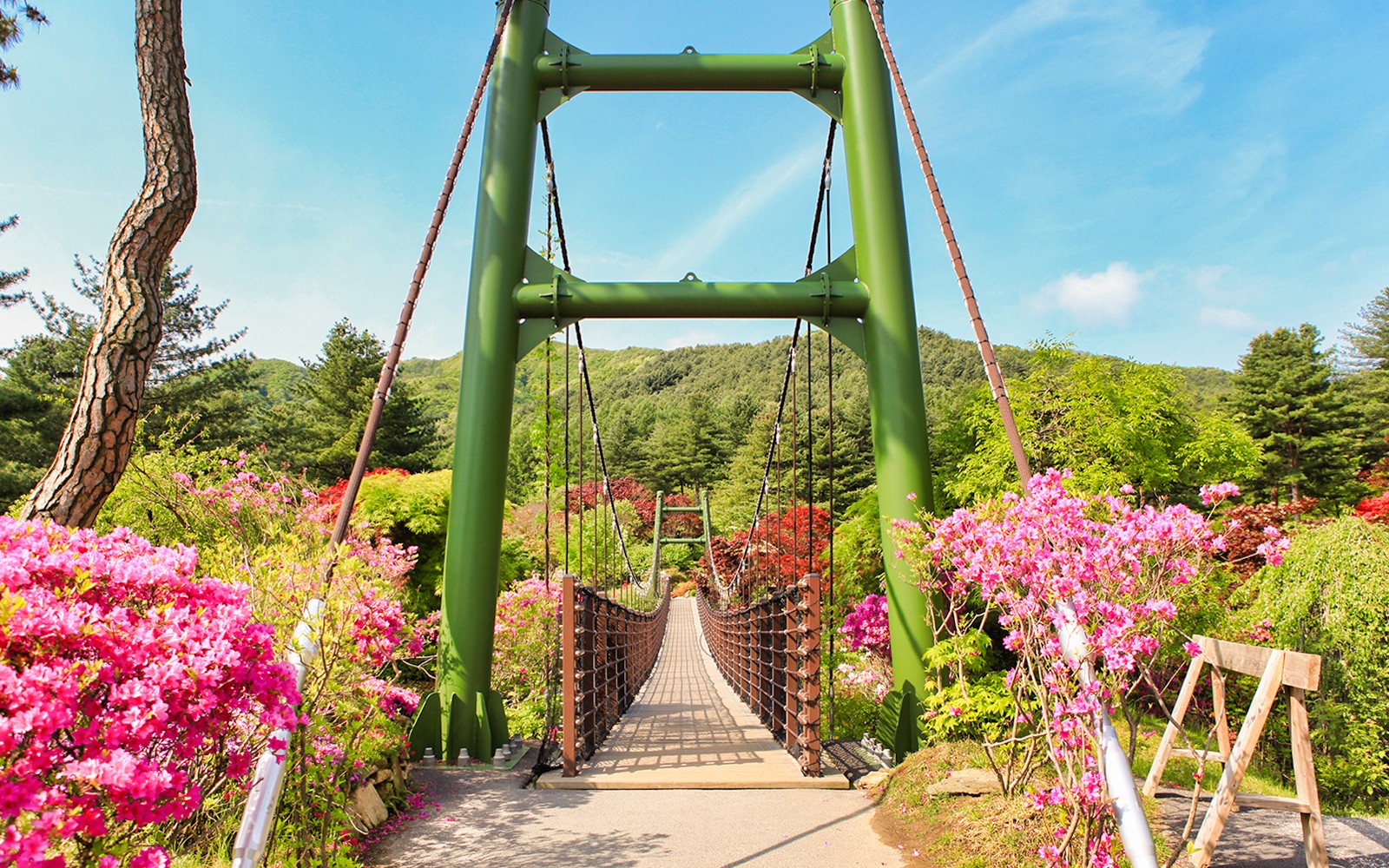 Nami Island Highlights Day Tour with Petite France & Italian Village 
