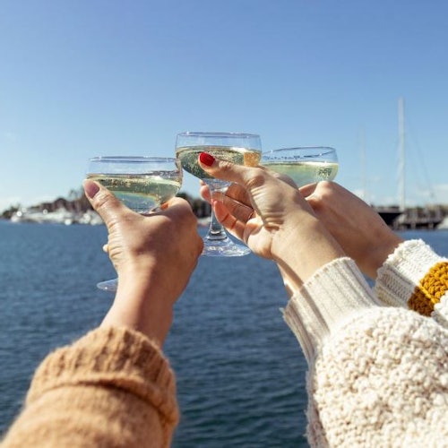 Los Angeles: Champagne Brunch Cruise from Newport Beach — gallery 1