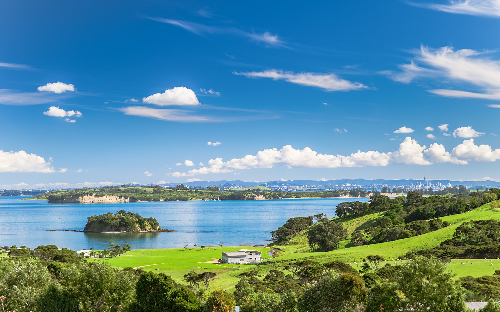 Western Explorer: Waiheke Island Hop-on Hop-off Bus Tour with Optional Ferry Transfers