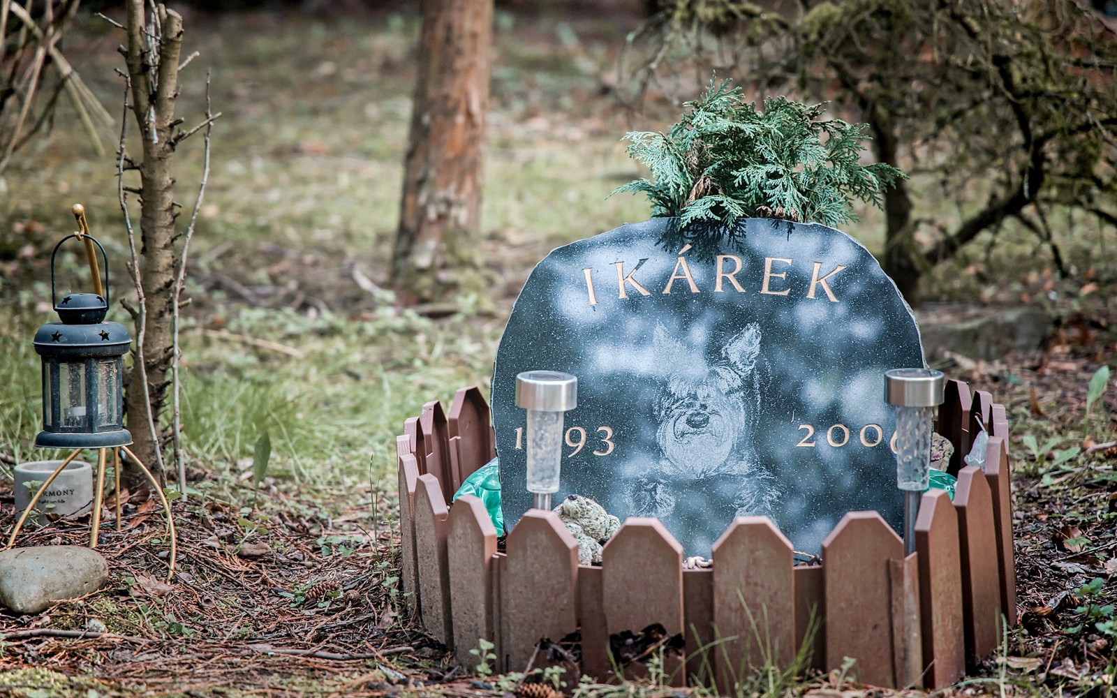 Guided Tour of Bohnice Psychiatric Hospital and Abandoned Cemetery in Prague — gallery 4