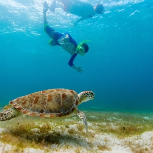 Sharm El Naga National Park: Guided Day Tour from Hurghada + Snorkeling + Lunch — gallery 1