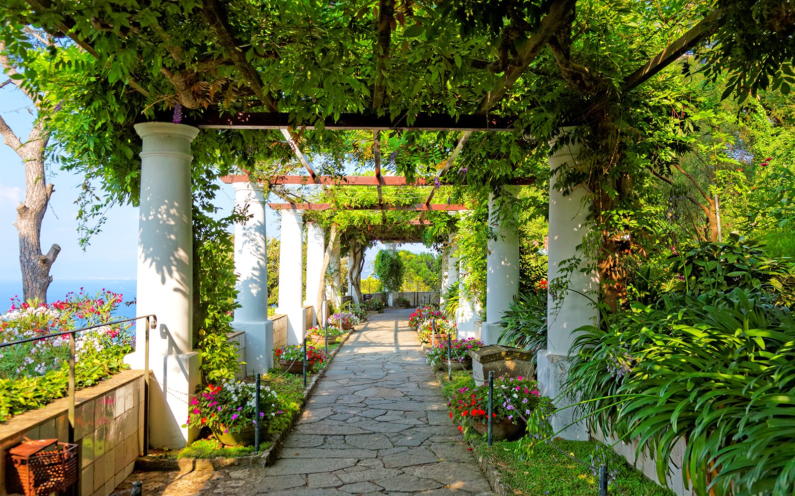 From Naples: Guided Tour of Capri & Blue Grotto with Round-Trip Boat Transfers — gallery 5