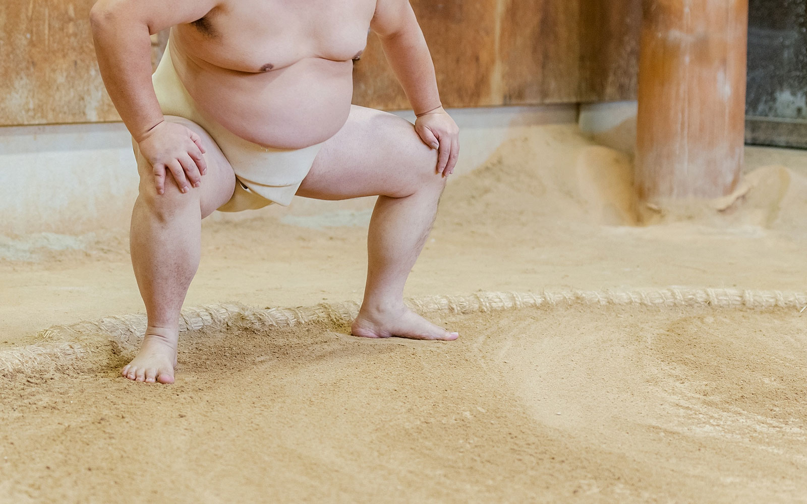 Tickets to Sumo Morning Training in Tokyo — gallery 3