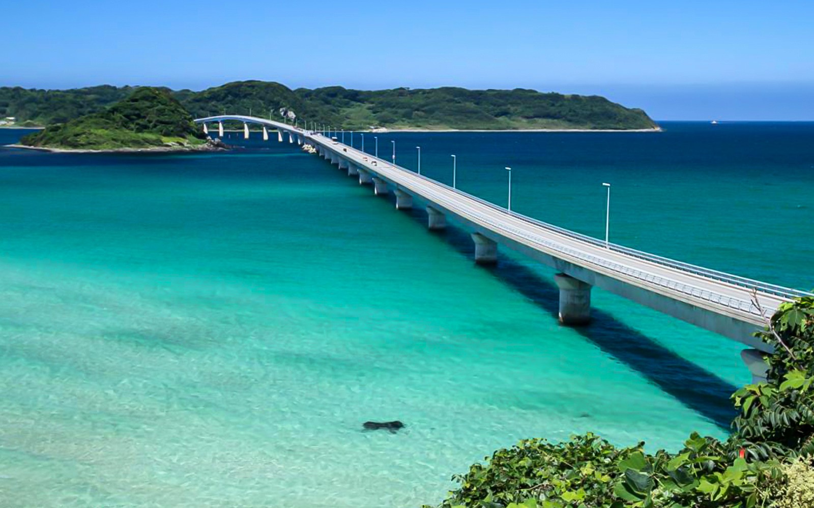 Okinawa Hip Hop Bus Tour: Churaumi Aquarium, Kouri Island, Cape Manza, Nago Pineapple Park — gallery 3