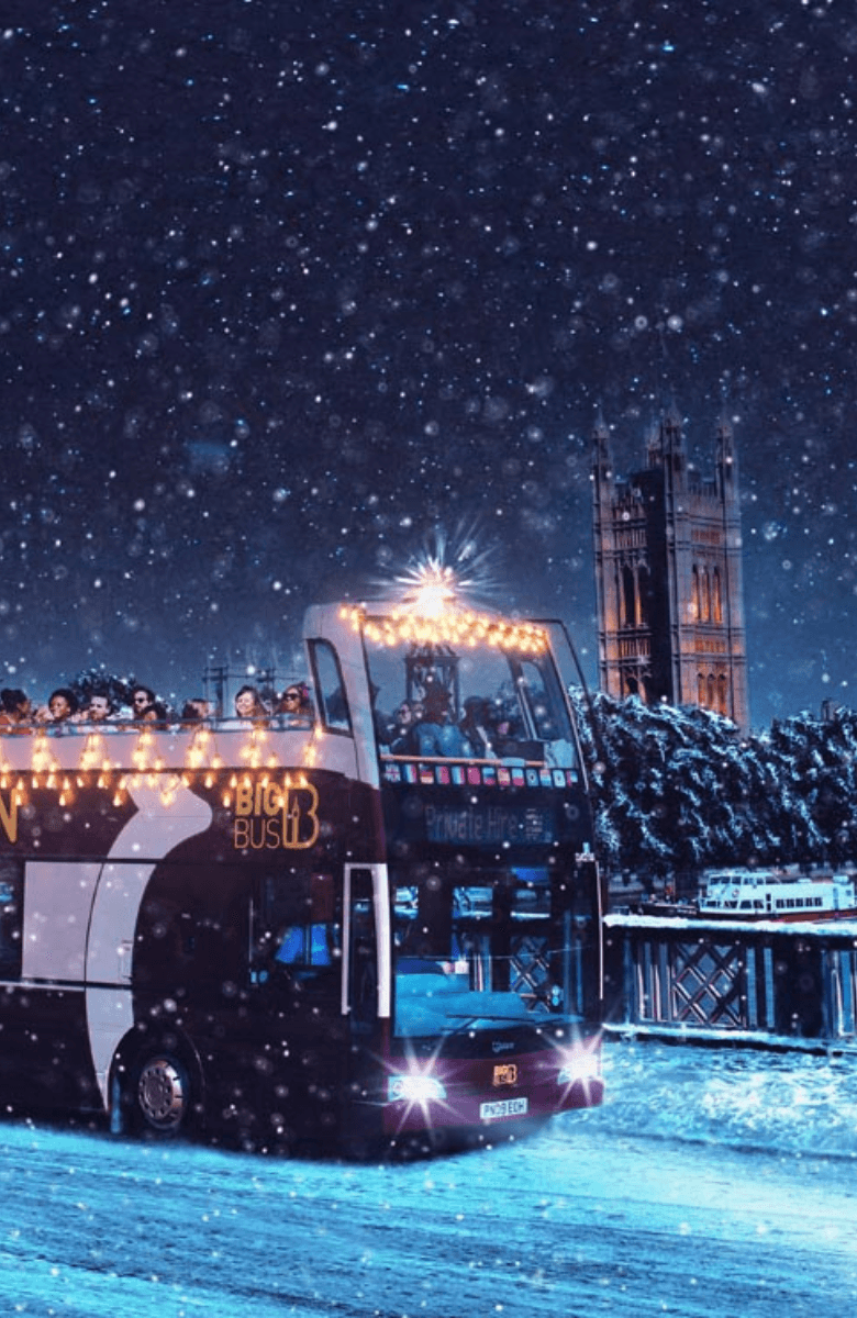 Big Bus: London Christmas Lights Night Bus Tour — portrait