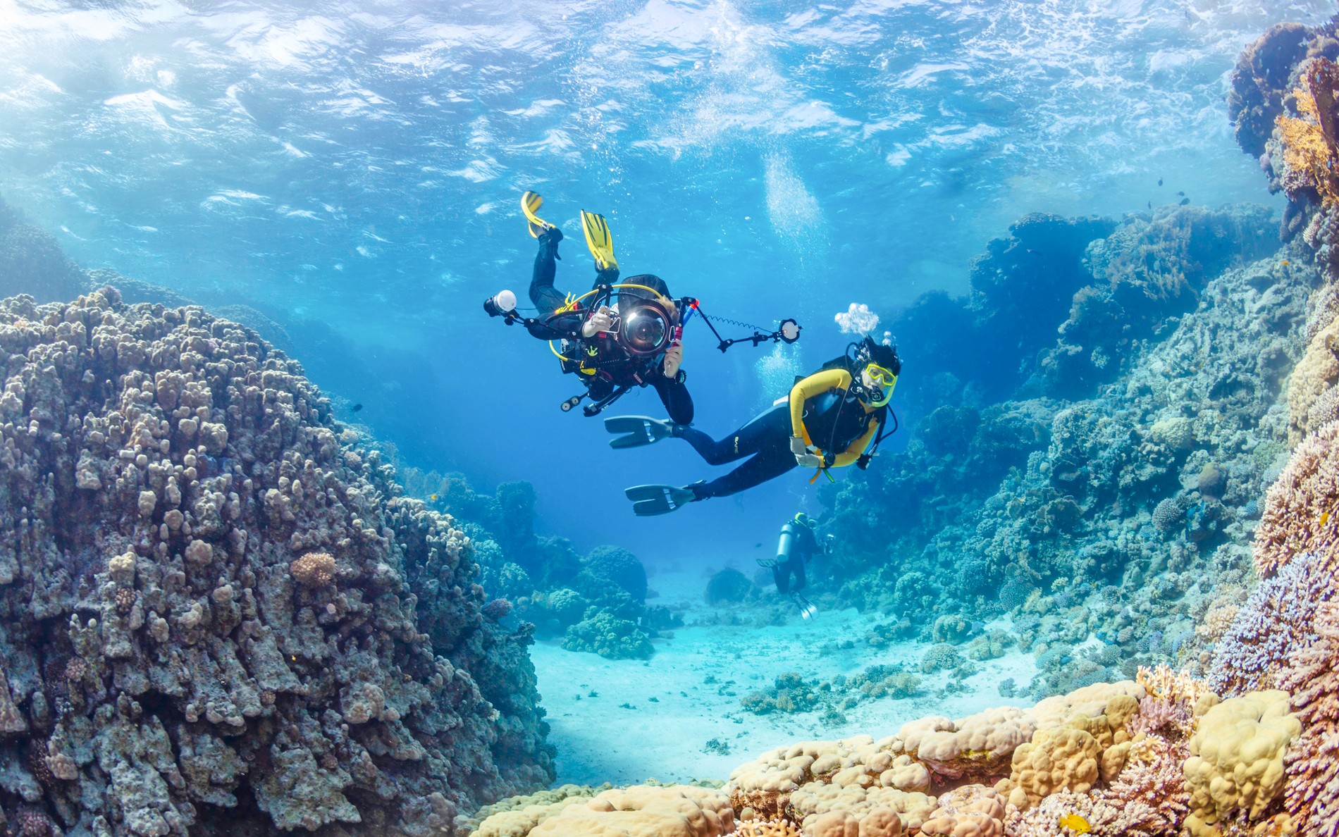 From Sharm El-Sheikh: Diving at Ras Mohamed & White Island with Round-Trip Hotel Transfers — gallery 3