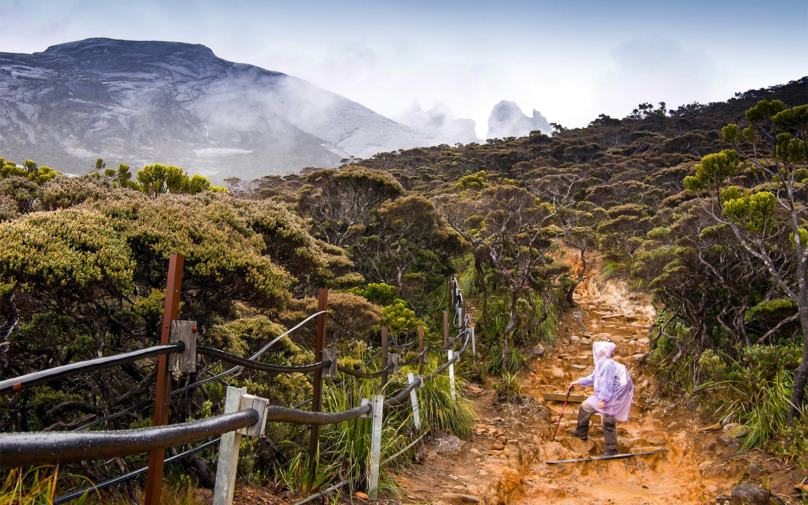 Full-Day Tour of Mount Kinabalu with Desa Dairy Farm & Poring Hot Springs Visit