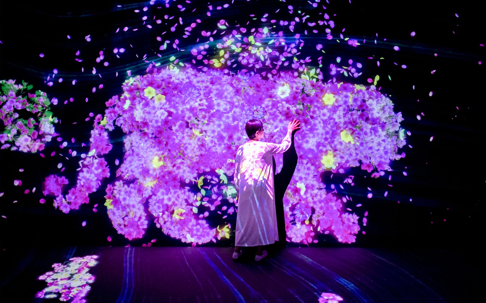 E・ZO FUKUOKA teamLab Forest Tickets