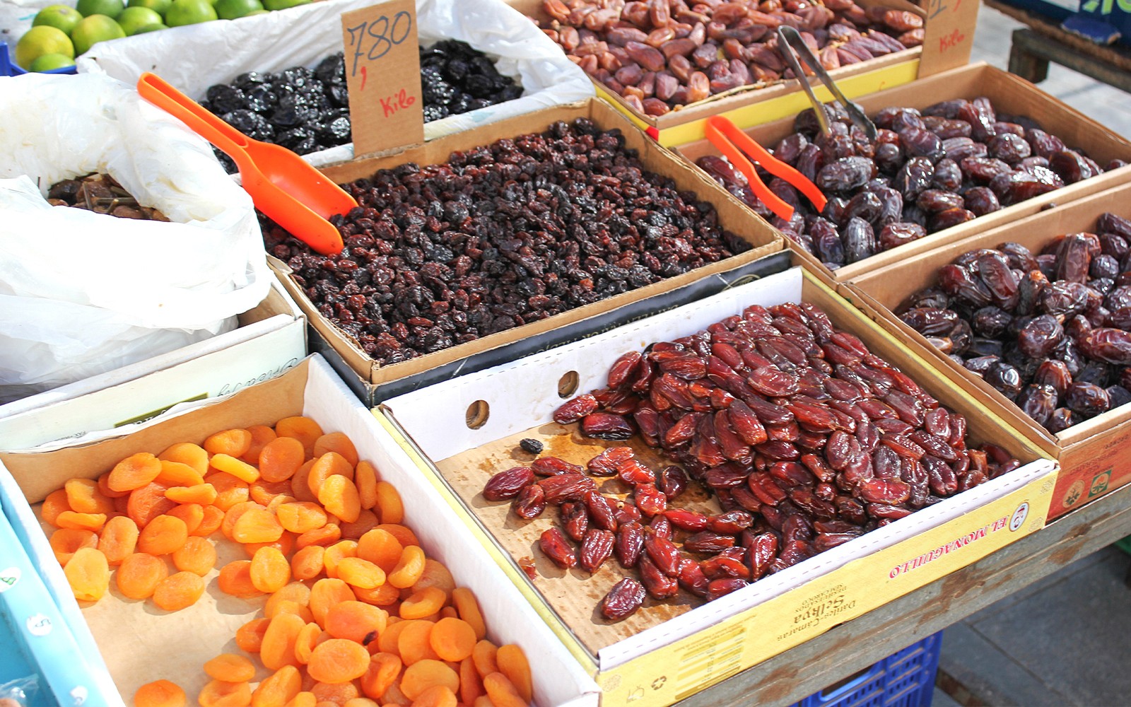 Discover Abu Dhabi: Premium Multilingual Guided Tour with Hotel Transfers — gallery 4