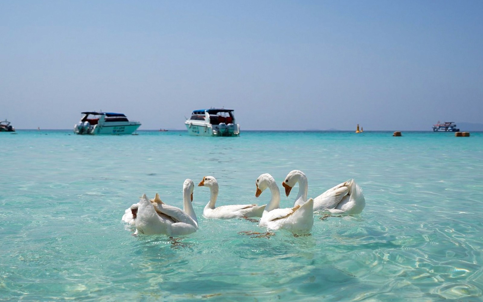 From Bangkok: Pattaya Island Day Trip with Beach Activities & Drone Photos