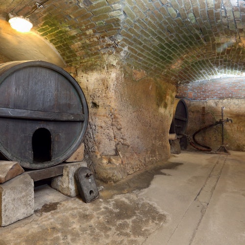Pilsen: Historical Underground Tour with a Glass of Beer