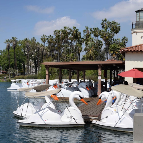 Los Angeles Echo Park: Swan Boats Rental — gallery 3