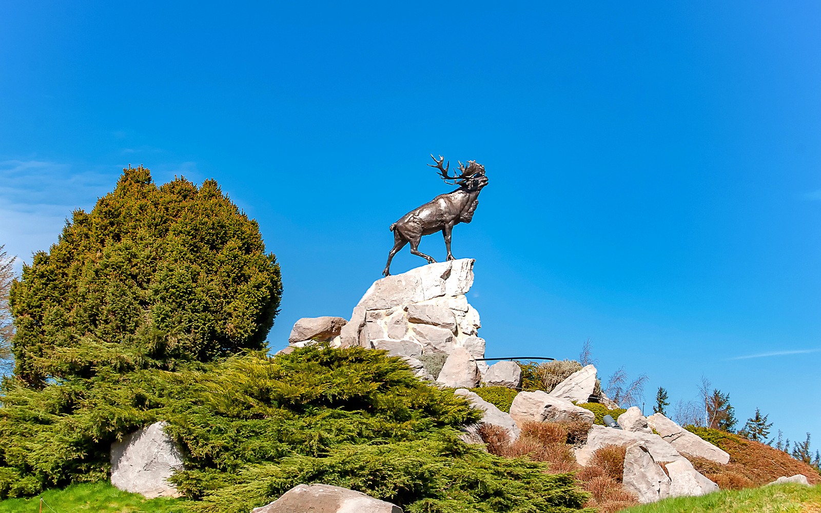 From Paris: WWI Battlefields and Memorials in Normandy Full Day English Guided Tour