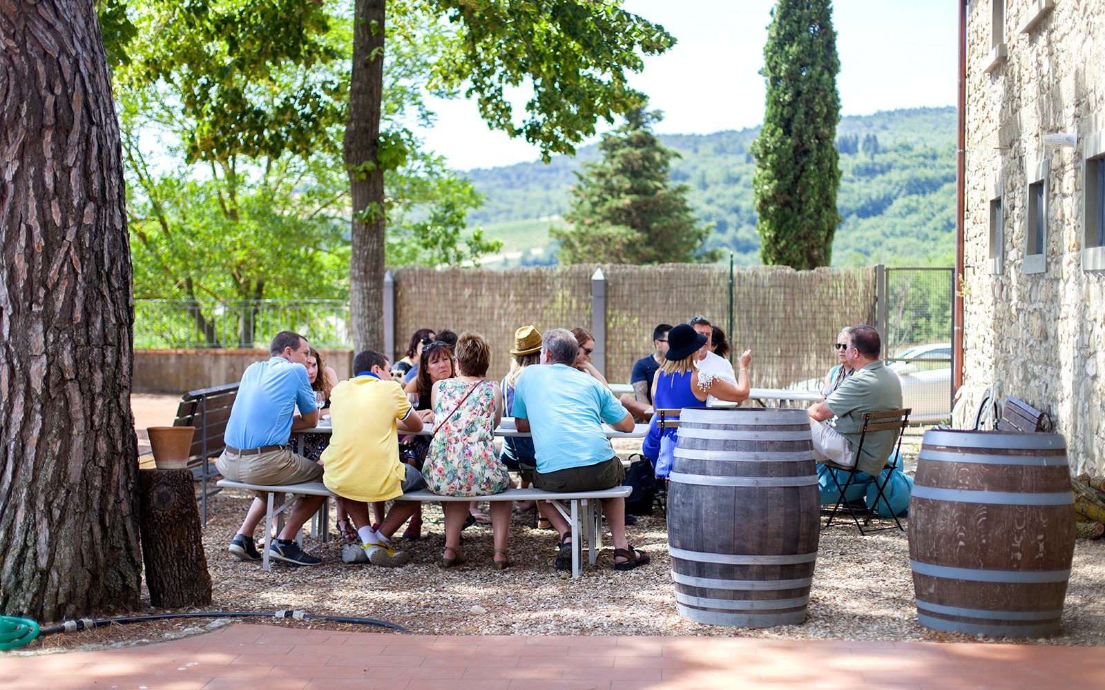 From Florence: Chianti Countryside & Olive Grove Semi-Private Tour with Lunch & Gourmet Pairings — gallery 5
