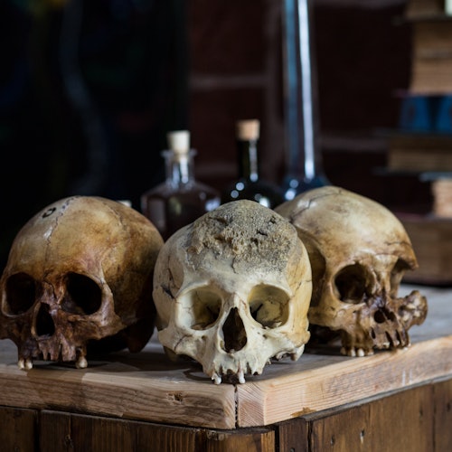 Sick To Death: Entry Ticket — gallery 5