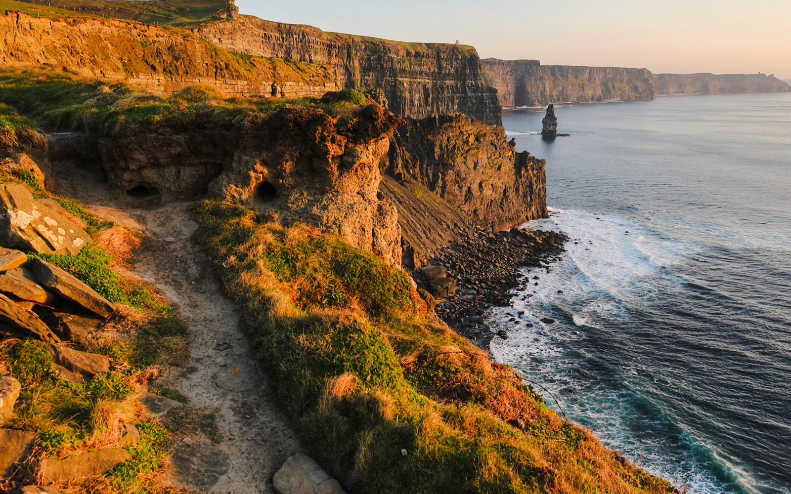 From Dublin: Birds of Prey, Aillwee Cave & Cliffs of Moher — portrait