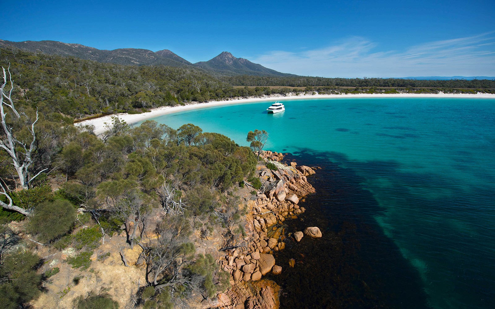 Wineglass Bay Cruises