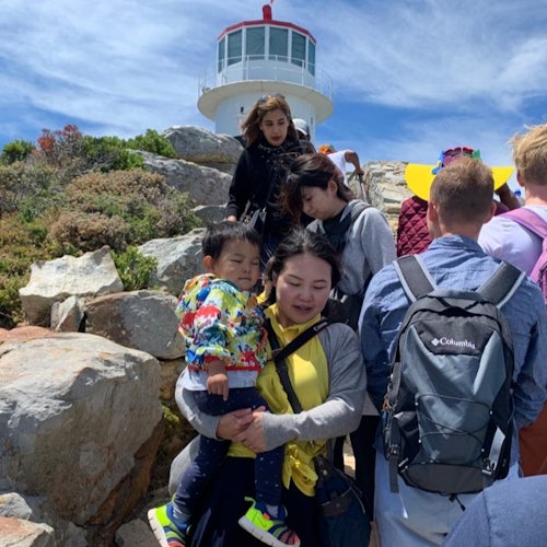 Cape Point & Boulders Beach Private Tour with Penguin Encounter — gallery 3