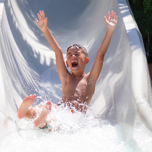 Siam Park & Loro Parque: Entry Ticket + Siam Park Transfer from North