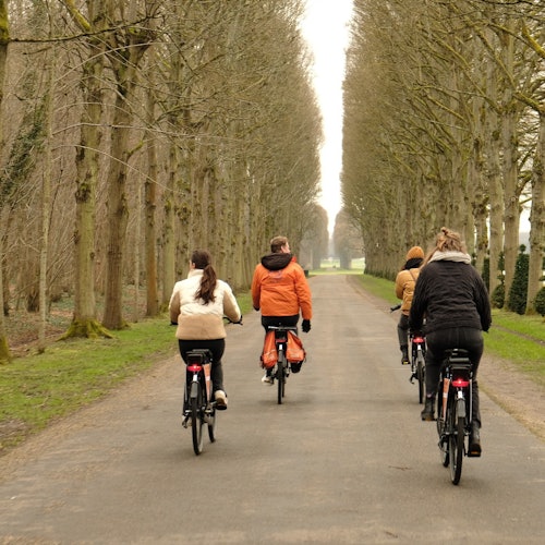 Palermo: Tour Guidato in Bicicletta — gallery 4