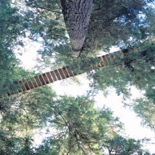 Whistler ZipTrek Ecotours: TreeTrek Adventure — gallery 2