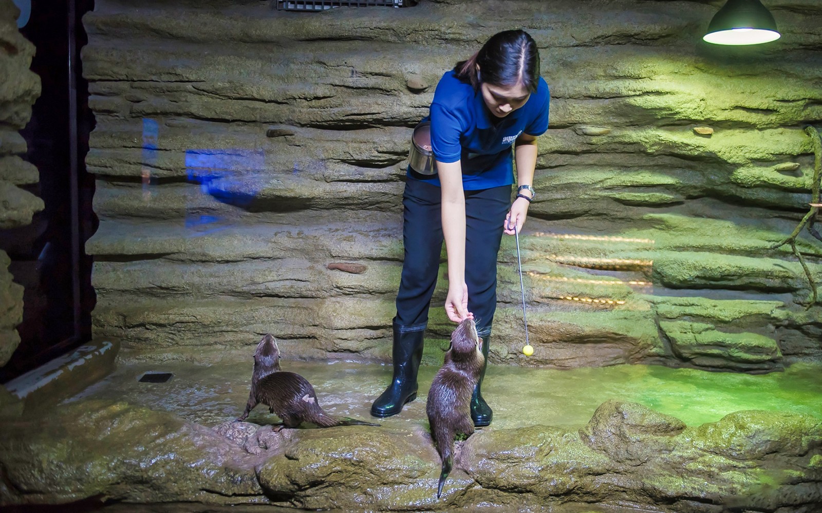 Aquaria Phuket Tickets: Non-Thai Residents — gallery 3
