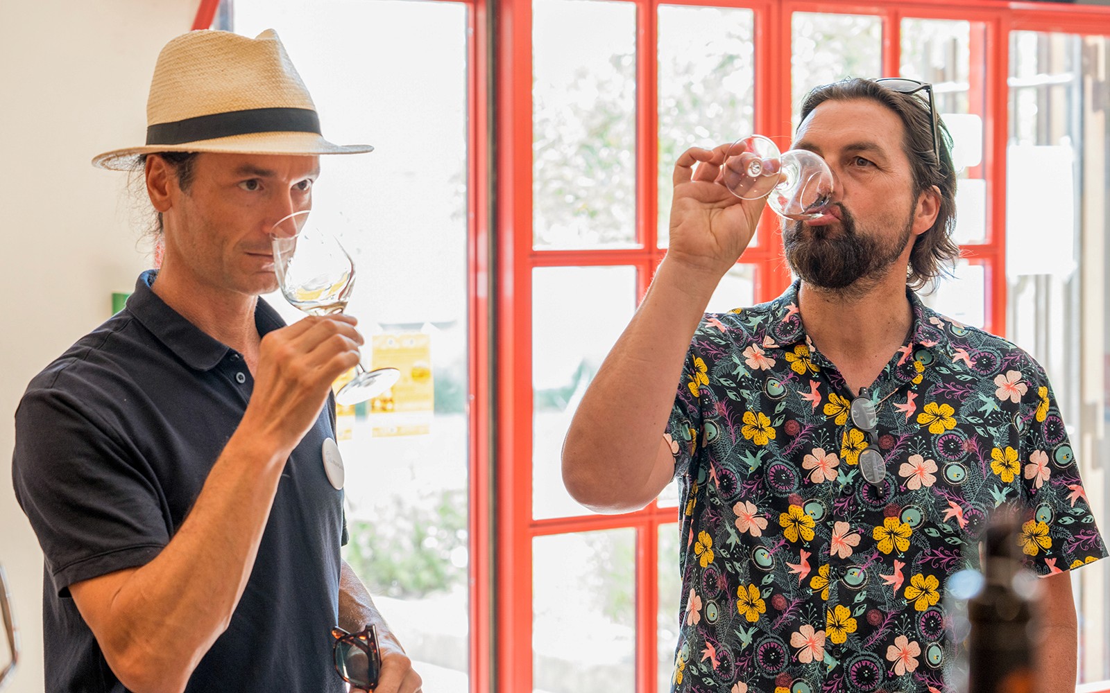 From Avignon: Wine Tour to Châteauneuf-du-Pape — gallery 3