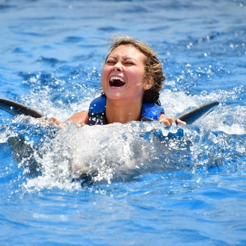 Marineland Dolphin Adventure: Entry Ticket — gallery 1