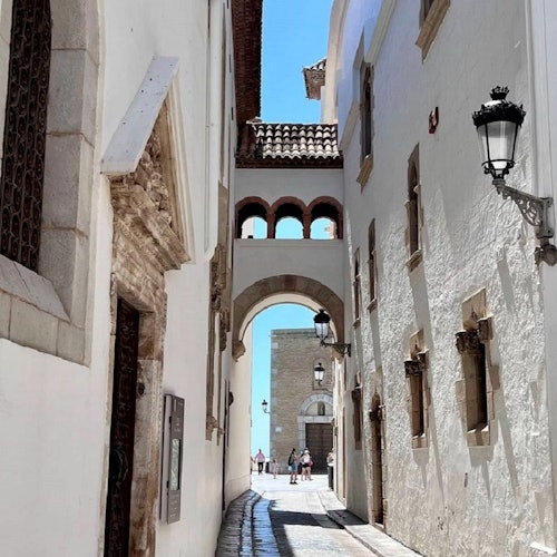Sitges: Boat Ride, Walking Tour & Winery Visit — gallery 1