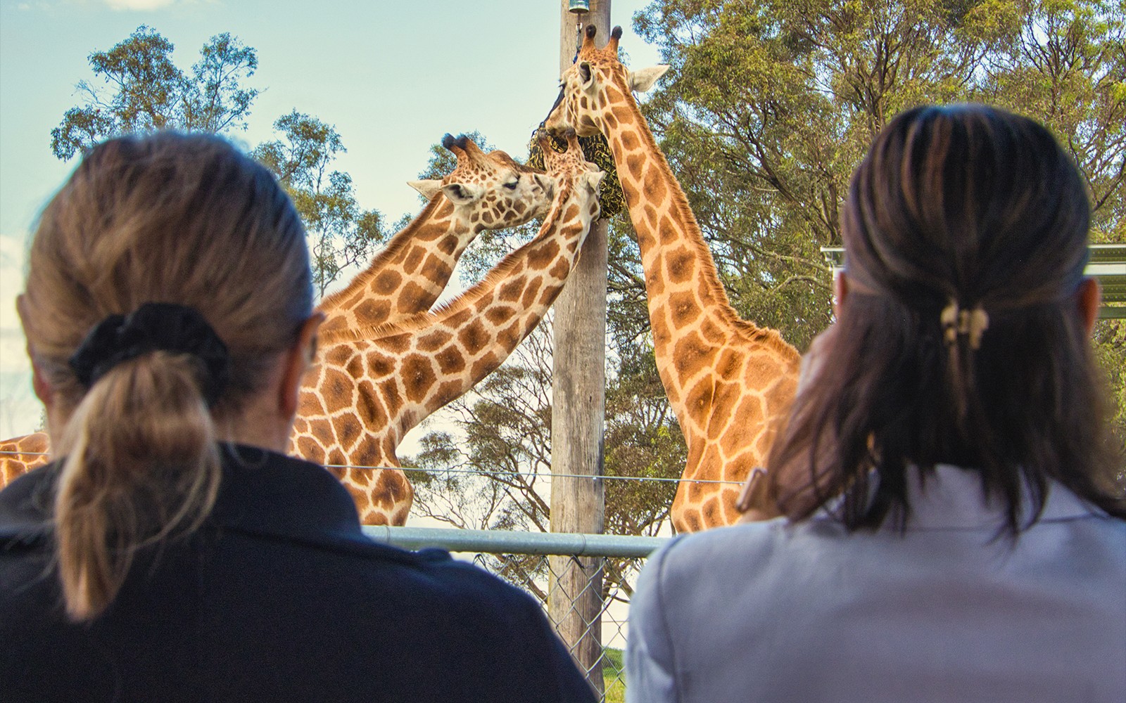 Featherdale Wildlife Park Tickets — gallery 2