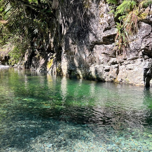 Vancouver: Guided Rainforest Hike with Waterfalls & Suspension Bridge + Transfer — gallery 4