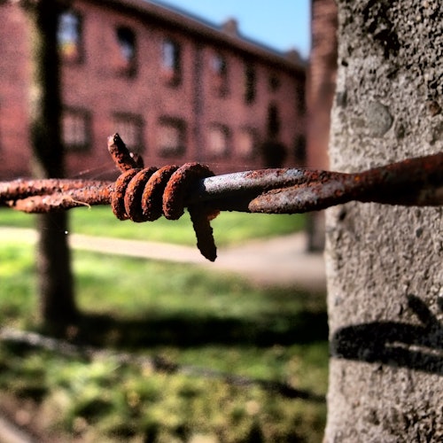 Auschwitz-Birkenau: Guided Tour + Transport — gallery 3