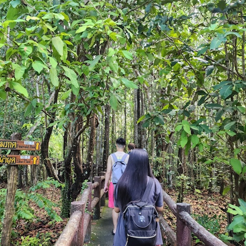 Tiger Cave Temple, Emerald Pool & Hot Springs: Full-Day Tour from Krabi — gallery 4