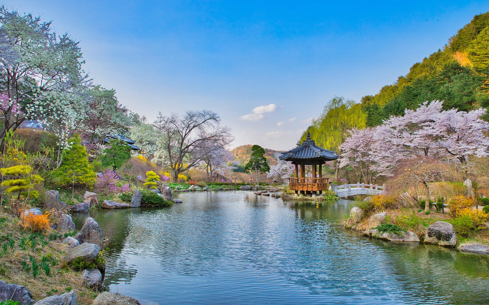 From Seoul: Nami Island & Alpaca World Guided Tour — gallery 2