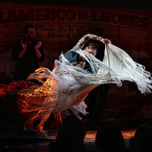 Madrid: Flamenco Show at Flamenco de Leones + Dinner — gallery 1