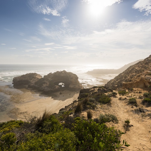 Mornington Peninsula: Bay Cruise & Sightseeing from Melbourne — gallery 1
