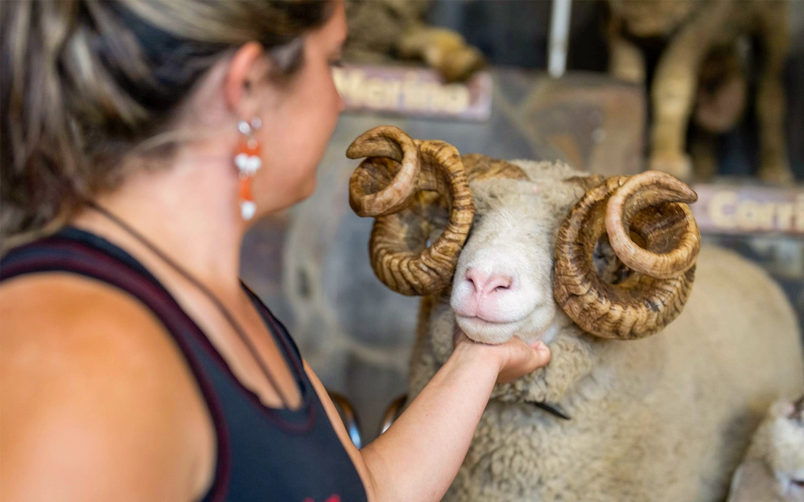 Agrodome Authentic Farm Experience Tickets