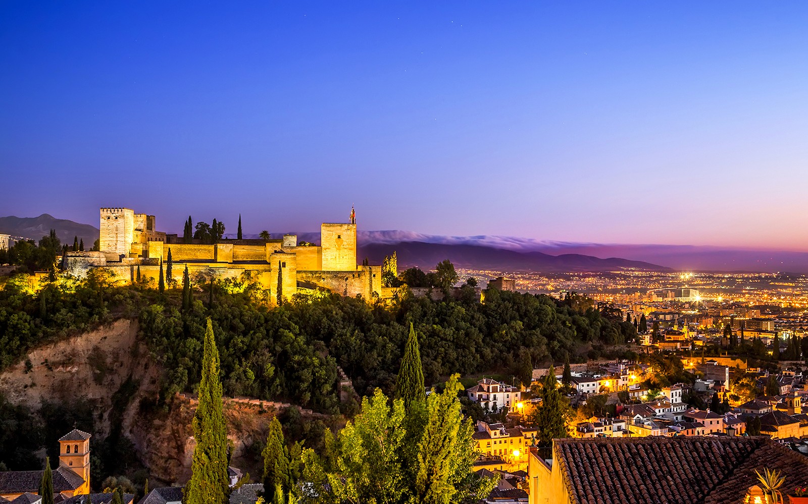 Guided Tour of Granada Cathedral and Royal Chapel