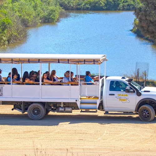 Santa Catalina Island: Guided Safari Tour — gallery 1