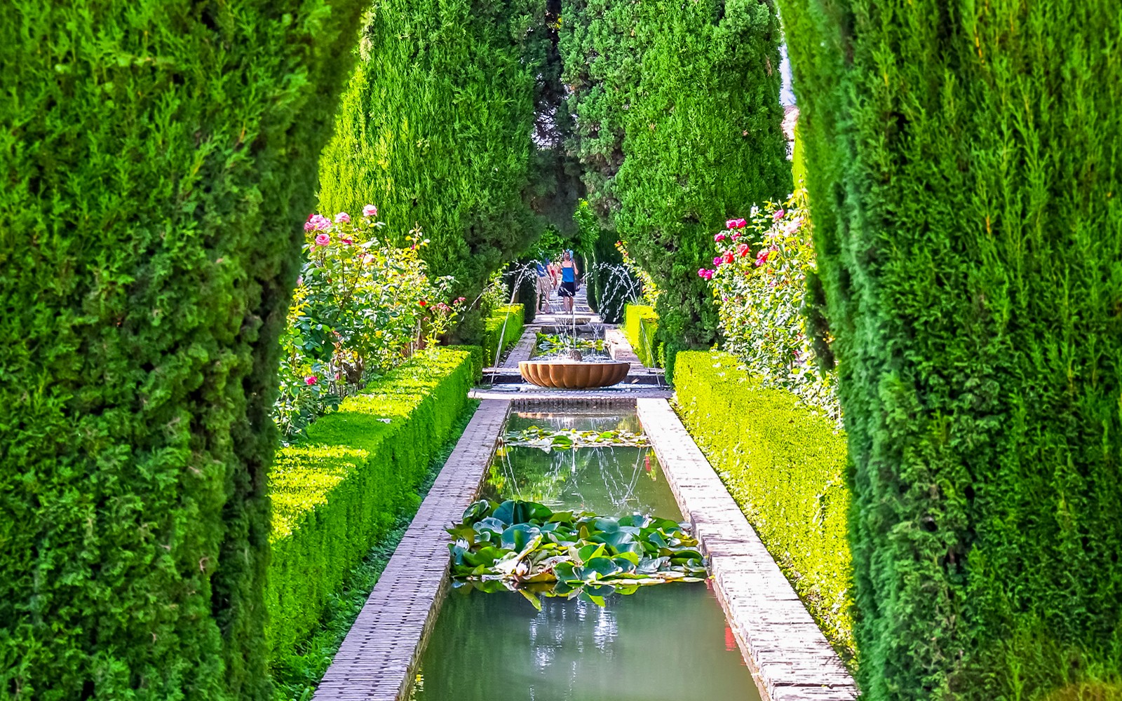 Alhambra & Nasrid Palaces Guided Tour without Entry Tickets