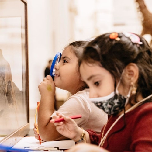 The Field Museum of Natural History: Guided Tour + Early Access + Exhibition — gallery 4