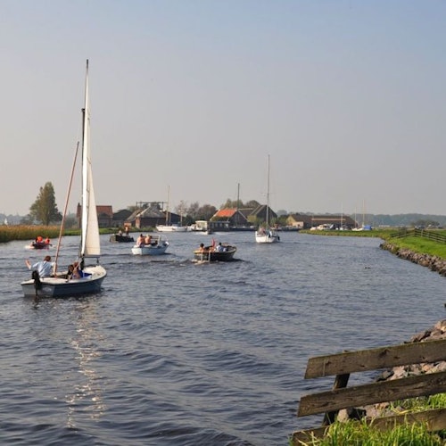 Keukenhof: Guided Tour + Tulip Farm Visit + Windmill Cruise — gallery 1