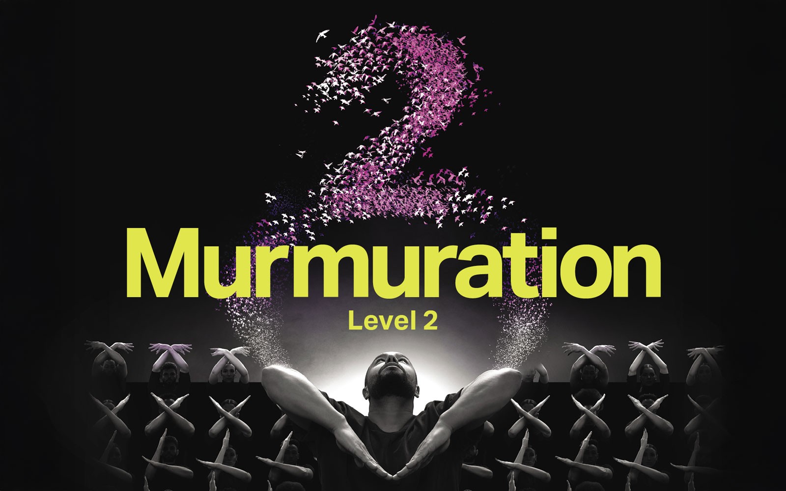 Murmuration Level 2