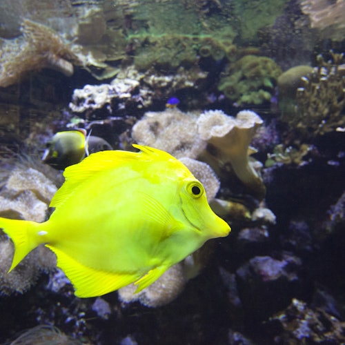 Marineland Mallorca: Skip The Line Ticket — gallery 2