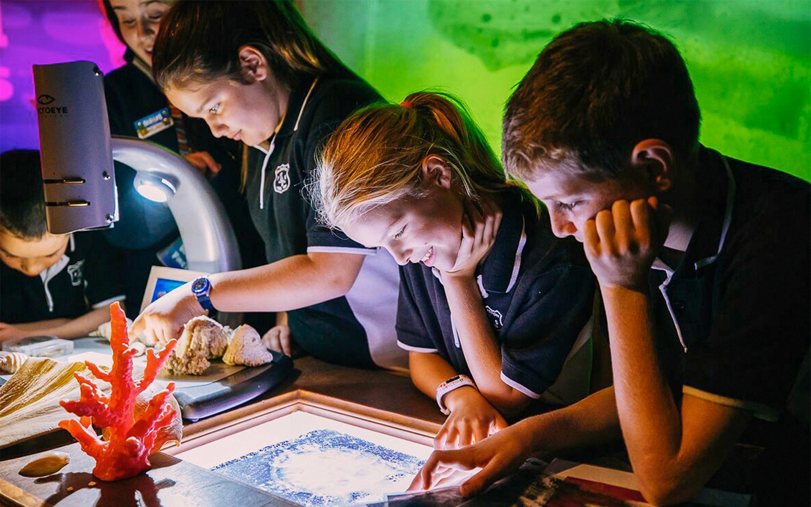 SEA LIFE Sydney Aquarium Tickets — gallery 1