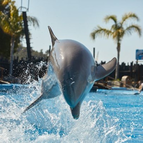 Mundomar Benidorm: Skip The Line Ticket — gallery 2